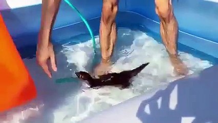 Sót nhau thai có nguy hiểm không