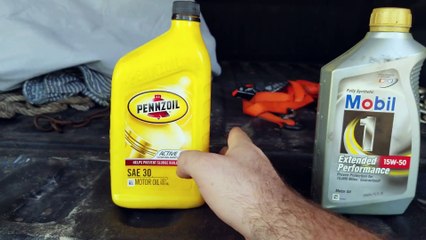 Which oil? Regular or Synthetic