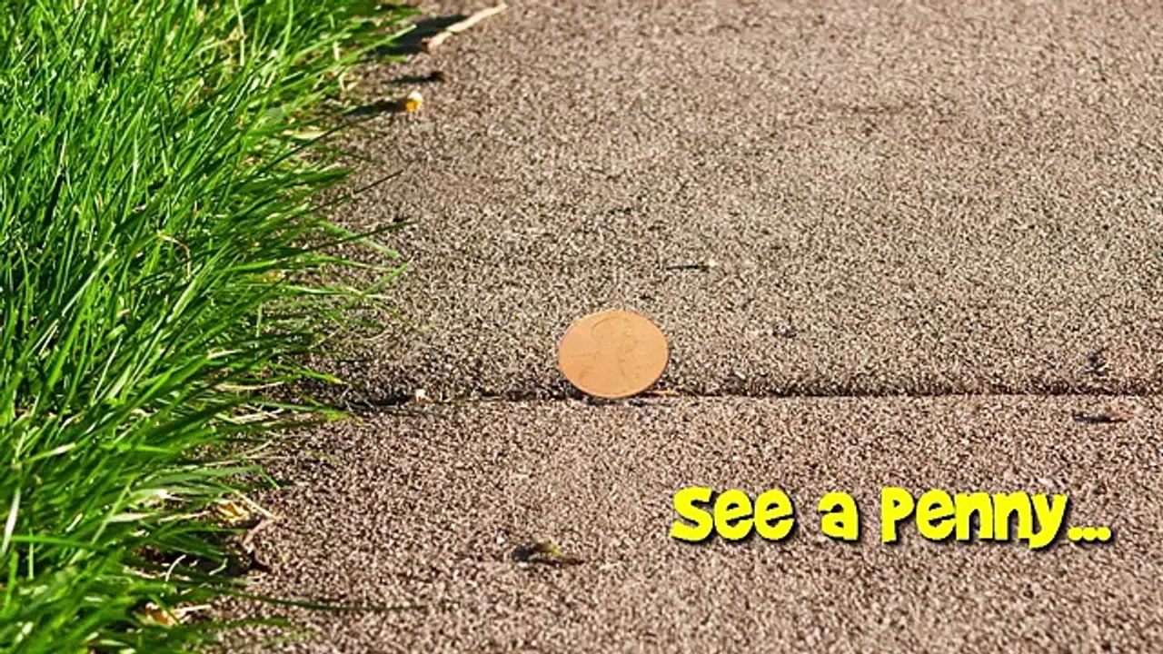 Pooping Candy Musical Reindeer Christmas Candy Toy, Galerie