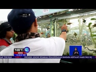 Masjid At Taqwa Dikelilingi Aquarium  -NET12