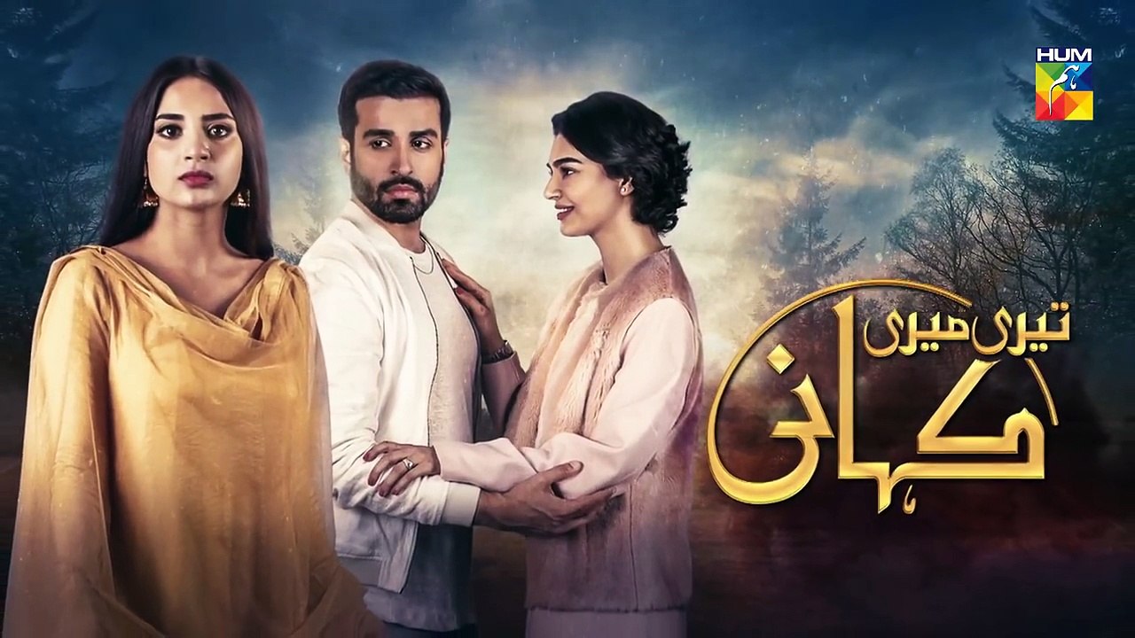 Teri Meri Kahani Episode @28 Promo HUM TV Drama_HD