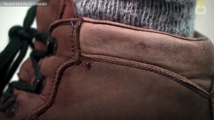 Bug-Spray Laced Clothes Help Keep Ticks Away