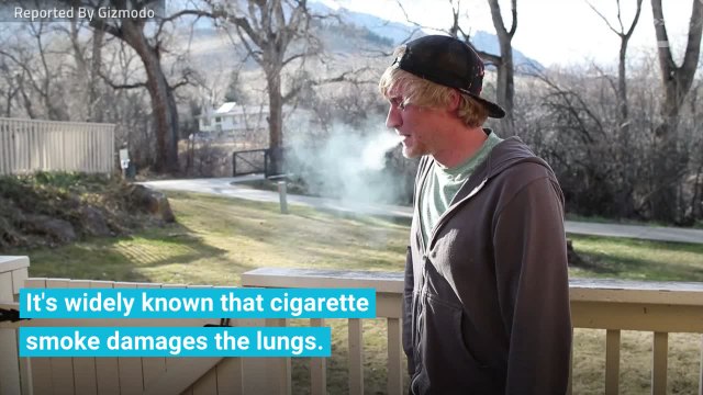 This Particular Vaping Flavor Does Same Damage To Lungs As Cigarettes