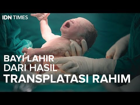 Bayi Lahir dari Hasil Transplantasi Rahim?