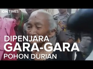 Dipenjara Gara-Gara Pohon Durian