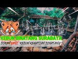 Kebun Binatang Surabaya, Bukan Lagi 