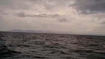 Ayvalık'ta Balıkçı Teknesi Battı: 4 Kişi Kayıp - Arama ve Kurtarma Çalışması