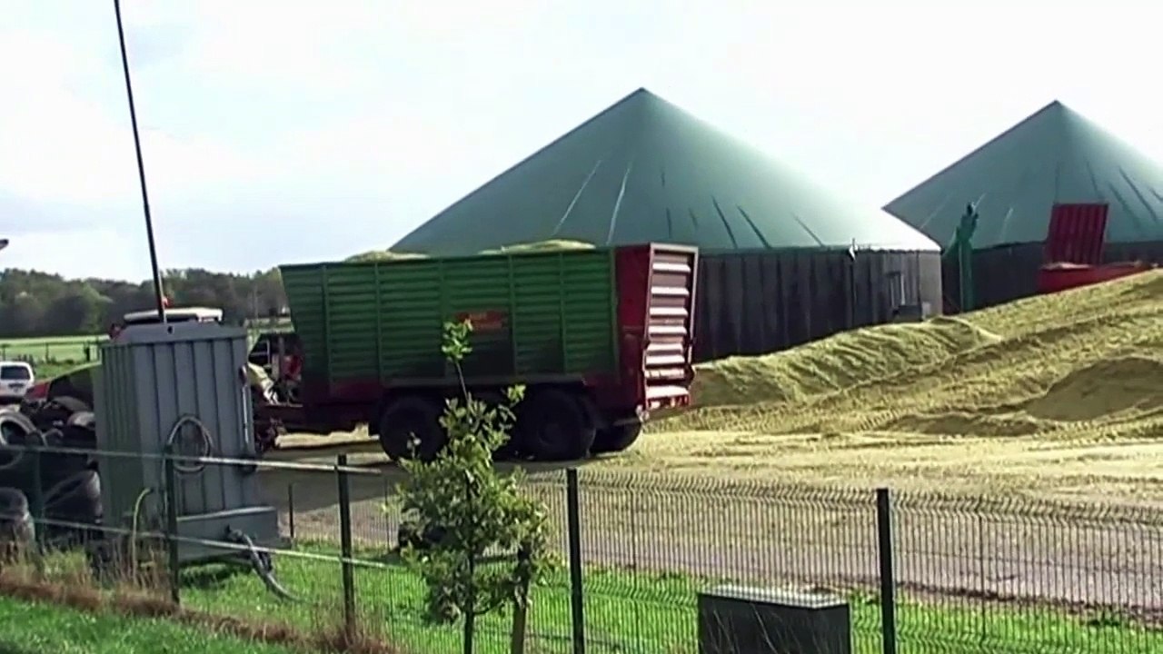 Corn - Biogas plant Eggeloge - mega production