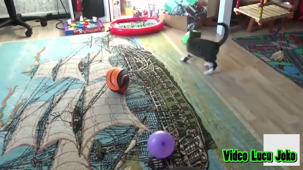 LUCU.!!! Kucing Vs Balon !! Kucing Terkejut dan Kaget (Part 2)