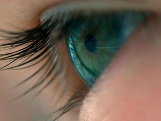 Voyage of Time: Life’s Journey: Trailer HD VO st FR/NL