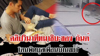 คลิปวินาทีหมาชิบะของ กันต์ โดยพิทบูลเพื่อนบ้านขย้ำ