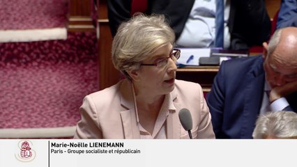 Marie-Noëlle LIENEMANN : question d'actualité du 24 mai 2018