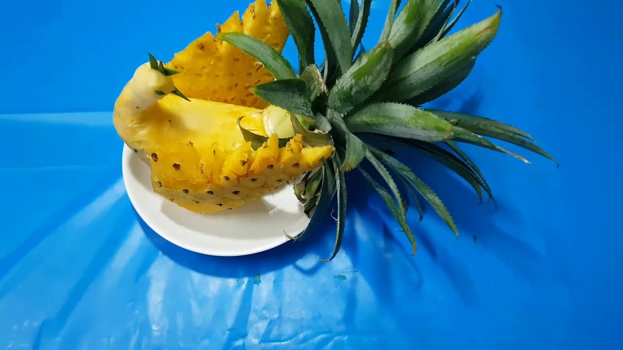 How to make a Peacock with pineapple?
