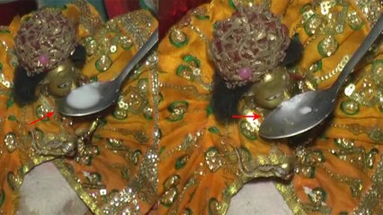 VIDEO: जब भक्तों के हाथों से स्वयं भगवान श्रीकृष्ण पीने लगे दूध! चमत्कार देख टूट पड़ी भीड़