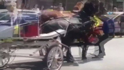 Faytona koşturulan at, aşırı sıcaktan yere yığıldı...Vatandaşlar tepki gösterdi