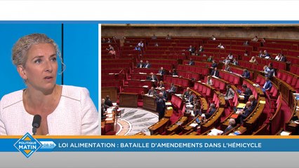 Divulgation à un lobby d'un amendement interdisant le glyphosate: Batho dénonce une "ingérence grave dans la souveraineté du Parlement"