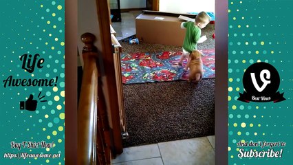 Try Not To Laugh Funny Babies Videos 2018 | Funny Kids Compilation 2018