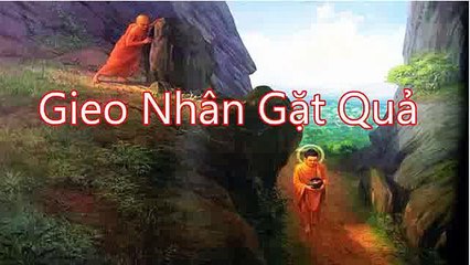 NHÂN QUẢ  NGHIỆP BÁO  HAY GIEO NHÂN GẶT QUẢ