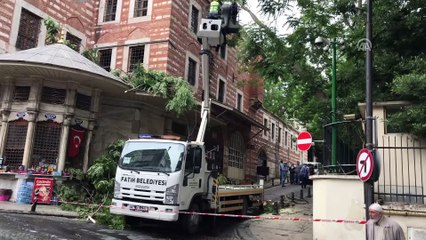 Ağacın kopan dalları caminin çatısına düştü - İSTANBUL