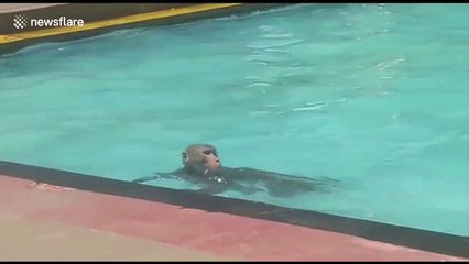 Monkey is a regular patron at local pool - and even uses a float to swim