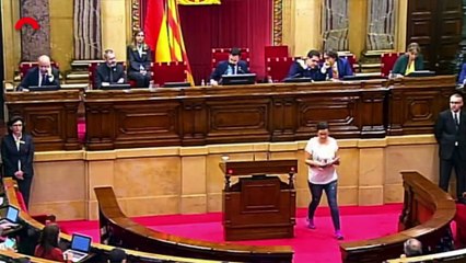 La CUP penja un cartell de 'stop feixisme' davant dels escons de Ciutadans