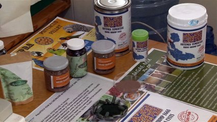 Türkiye'nin ilk yerli ve milli canlı yemi üretildi