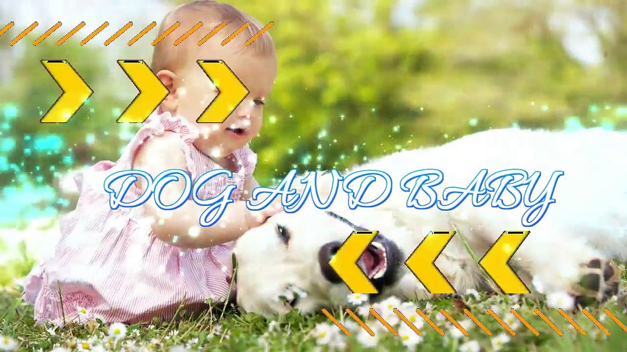 5a7bc4e61dc8753e2affdfb2