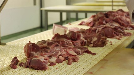 Bllokohet mishi nga Brazili - Top Channel Albania - News - Lajme