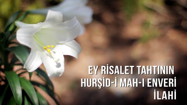 Müziksiz İlahiler - Ey Risalet Tahtının Hurşid-i Mah-ı Enveri