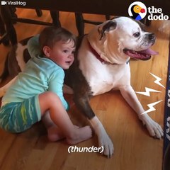 Kid Comforts Dog During Thunderstorm - The Dodo