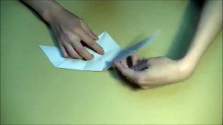 How to Make a Paper Plane / Origami Bird / Common Gull