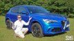 Is the Alfa Romeo Stelvio Quadrifoglio the Ferrari of SUVs? | TEST DRIVE