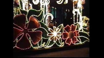 fantillusion dingo dance