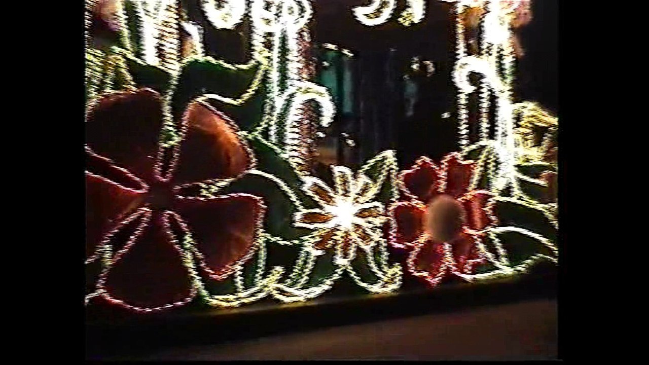 fantillusion dingo dance