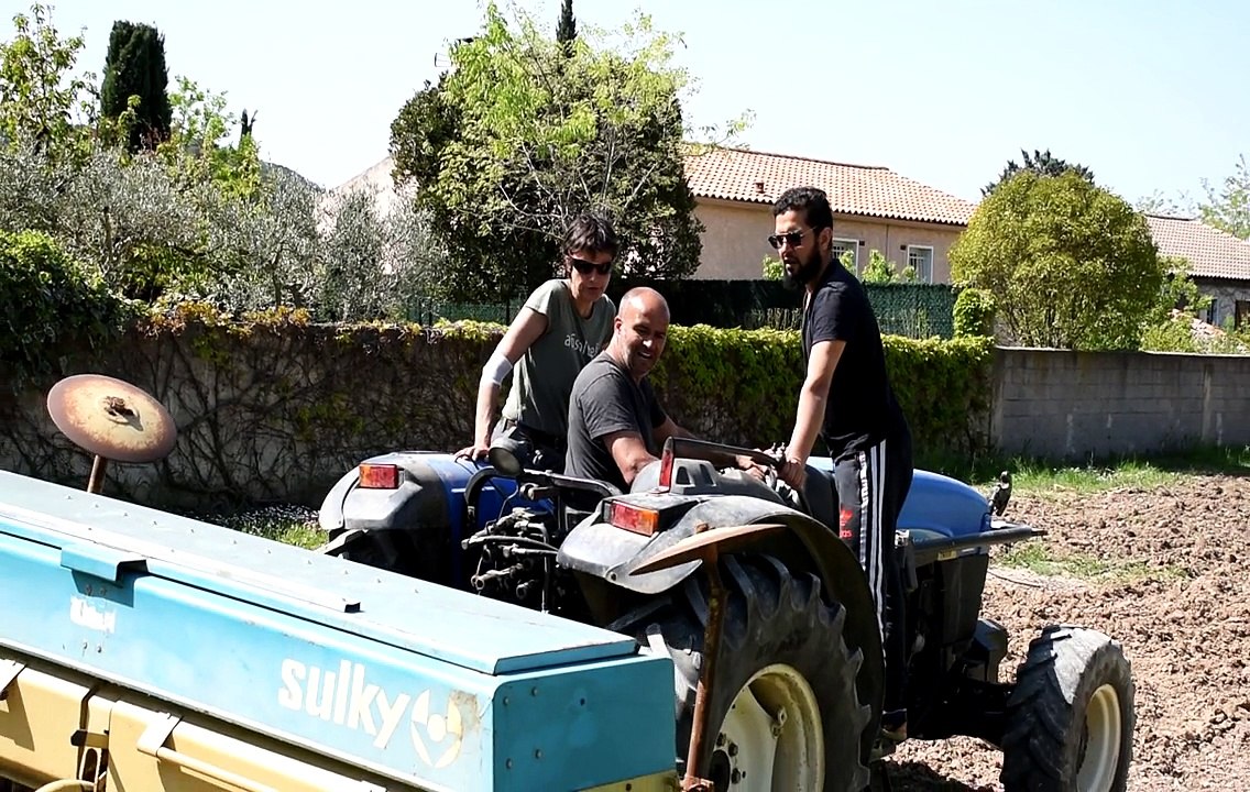 La biodiversité en milieu urbain : plantation d'espèces mellifères et mise en place d'une ruche