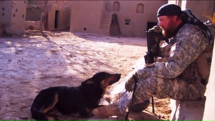 Veteran Says Emotional Farewell to K9 Who Saved His Life in Afghanistan