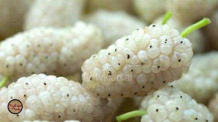 Kush vjen per dreke/ Te mirat shendetesore te manit (20.05.2018)