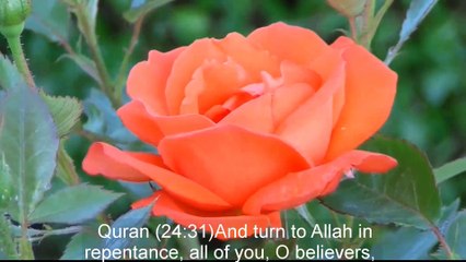 A Heart Touching Dua By A Mother For Her Son E8 Pop Ramadan 2018