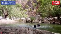 Pamje shokuese/ 3 të rinj filmojnë veten teksa aksidentalisht mbyten në lumë (360video)