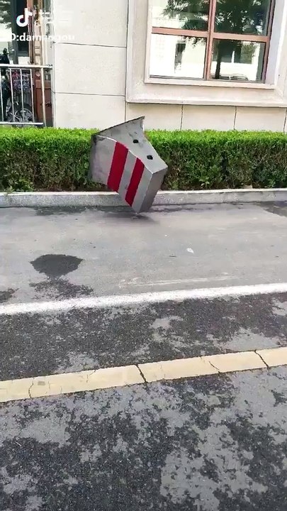 Cú Đêm