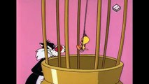 Sylvester And Tweety Mysteries Swedish Language Opening And Closing Credits