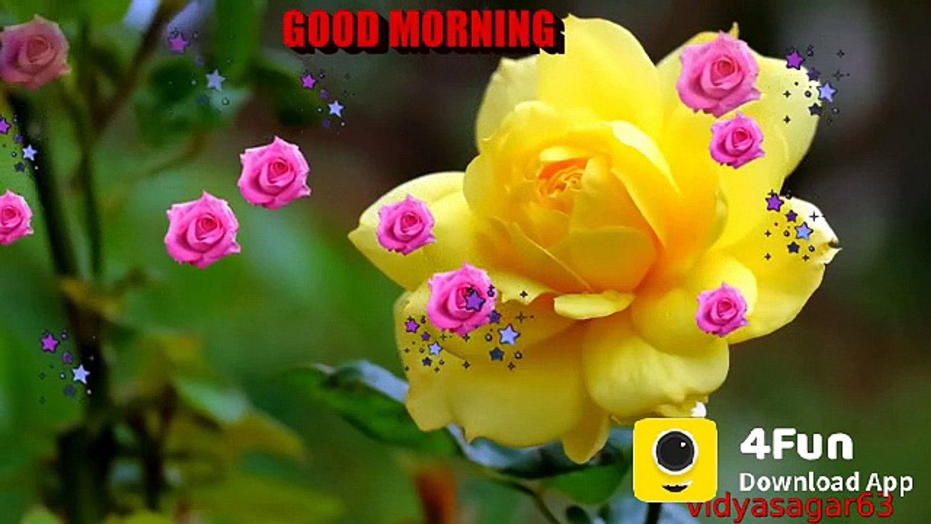 Good Morning Whatsapp Status Video Video Dailymotion