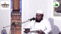 khulafa e rasedeen and tarabi By mufti lutfor rahman Farazi (খোলাফায়ে রাশেদীন কত রাকাআত তারাবীহ পড়তেন?