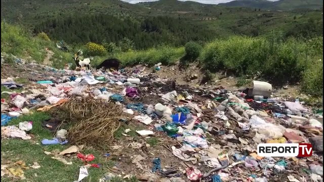 Report TV - Mbetjet urbane mbulojnë lagjen e ‘Kodrës së Strumit’ në Berat