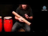 Percussão (AULA GRATUITA) - Conhecendo os instrumentos de Condução e de Efeitos - Cordas e Música