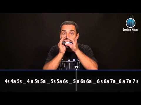 Gaita (AULA GRATUITA) - Exercitando a escala de Dó Maior na Gaita Diatônica - Cordas e Música