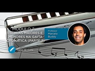 Gaita (AULA GRATUITA) Escalas Maiores e Menores na Gaita Cromatica Parte 3 - Cordas e Música