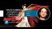 Violão Flamenco (AULA GRATUITA) O Surgimento do Flamenco - Cordas e Música