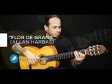 Flor de Grana  - Allan Harbas (VIOLÃO FLAMENCO) - Cordas e Música