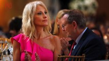 Report: Kellyanne Conway's Husband Suggested Criticisms of President Trump to Writers